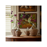 Clematis Purple Stem