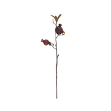 Burnished Pomegranate Stem