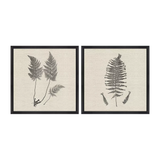 Modern Ferns I Art