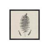 Modern Ferns I Art