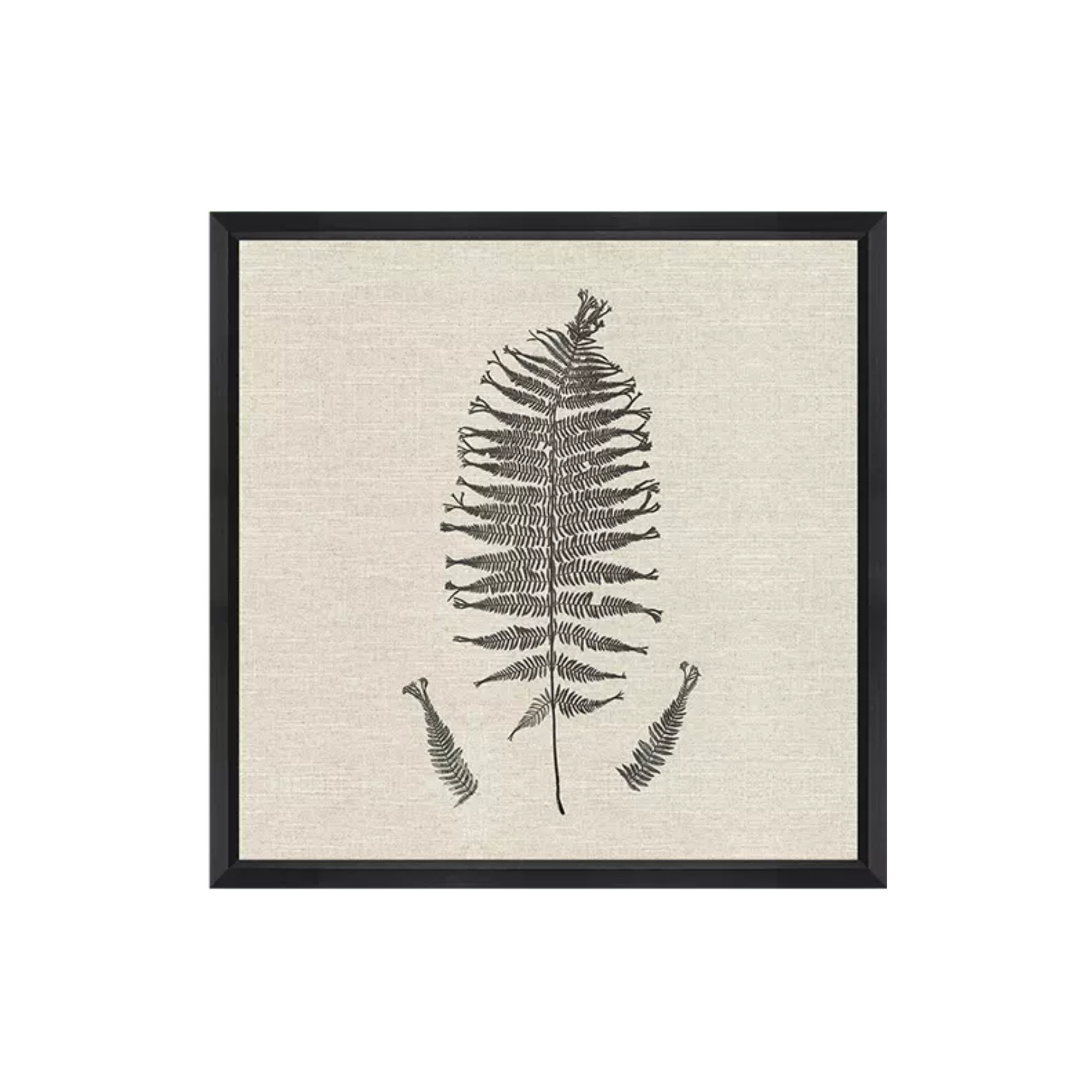 Modern Ferns I Art