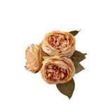 English Rose Stem