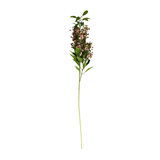Pink Tea Tree Branch