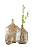 Larkspur White Stem