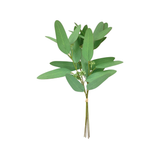 Ironbark Eucalyptus Bunch