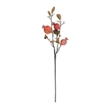 Burnished Pomegrante-Topaz
