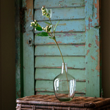 Hypericum Berry Stem