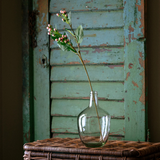 Hypericum Berry Stem