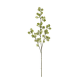 Soft Sedum Stem
