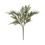 Asian Bayberry Leaf Bush