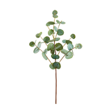 Green Eucalyptus Spray