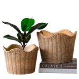 Basket Weave Planter