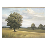 Meadow Art