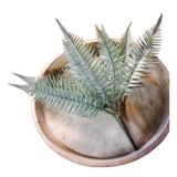 Dusted Fern Pick