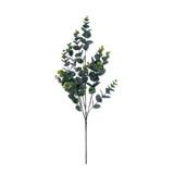 Eucalyptus Spray 34"