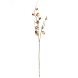 Mini Pomegranate Stem