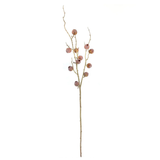 Autumn Pod Brown Stem