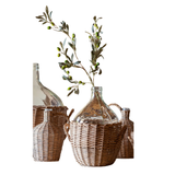 Green Olive Stem