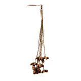 Dried Wild Orange Stem