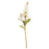 Stock Cream Stem