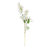 Bougainvillea Bridal Stem-White