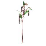 Poke Berry Stem
