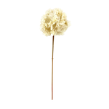 Cream Hydrangea Stem