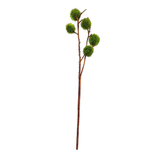 Chestnut Stem-Green
