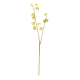 Chinese Lantern Stem-Linen