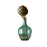 Artichoke Stem