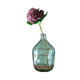 Violet Hydrangea