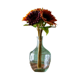 Field Sunflower Bundle