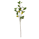 Eureka Lemon Branch