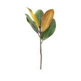 Magnolia Pick