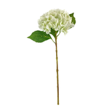 Bridal Hydrangea Stem