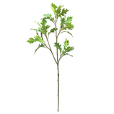 Green Oak Branch