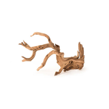 Manzanita Root