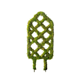 Diamond Trellis