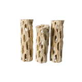 Cholla Wood