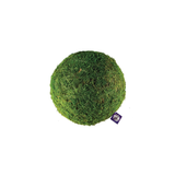 4" Moss Ball
