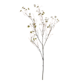 Hibernal Blossom Stem