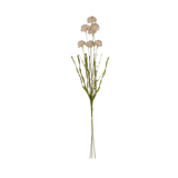 Melaleuca Cream Stem