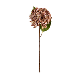 Antique Pink Hydrangea