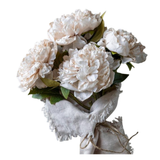 Peony Evening Dew