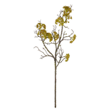 Moss Branch Stem
