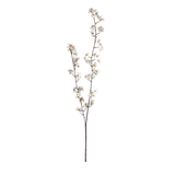 White Pear Blossom