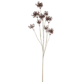 Woodland Yarrow Stem