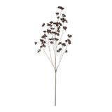 Wild Winter Berry Stem