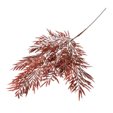 Brown Fern Stem