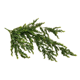 Cascading Greenery
